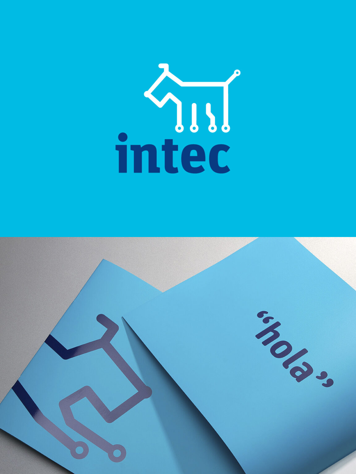 INTEC - Réchaud à gaz 2 feux 3200W Brûleurs et Grille en fonte amovibles - Plaque de Cuisson 2 feux GOLD II