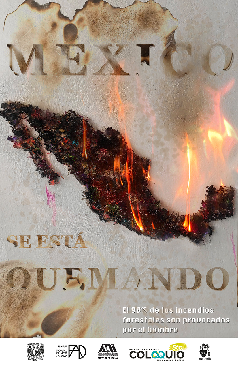 AriGG_MexicoIncendios-01