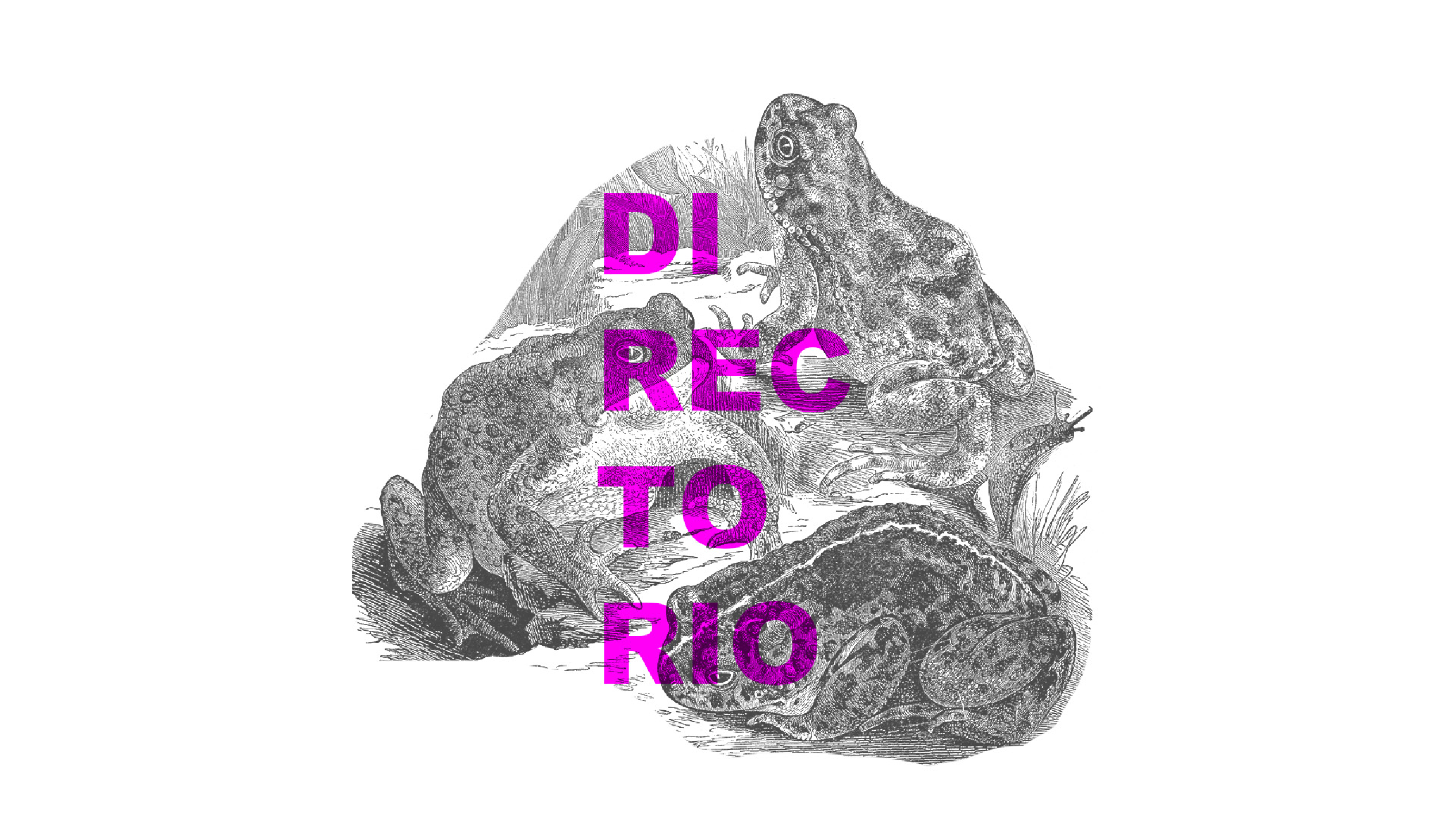 Portada_Directorio Grafica Farolito. Capitulo Toluca.